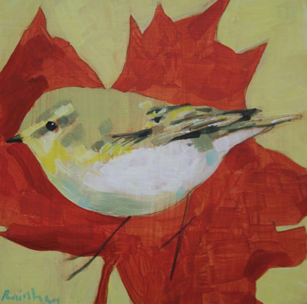 Christopher Rainham, Wood Warbler on Maple Leaf