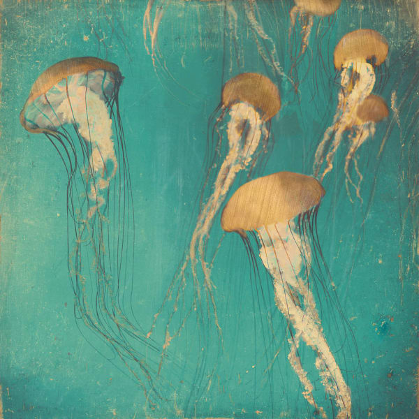 Nadia Attura, Monterey Bronze