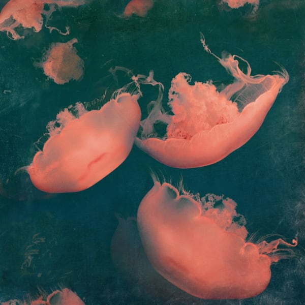 Nadia Attura, Monterey Green