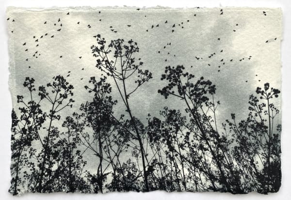 Luella Martin, Summer Skies