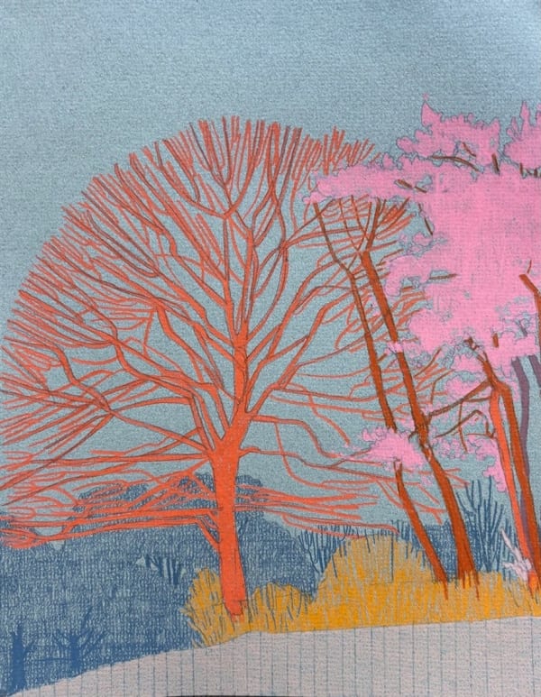 Drawings - Clare Halifax, Hampstead Heath Observation IV