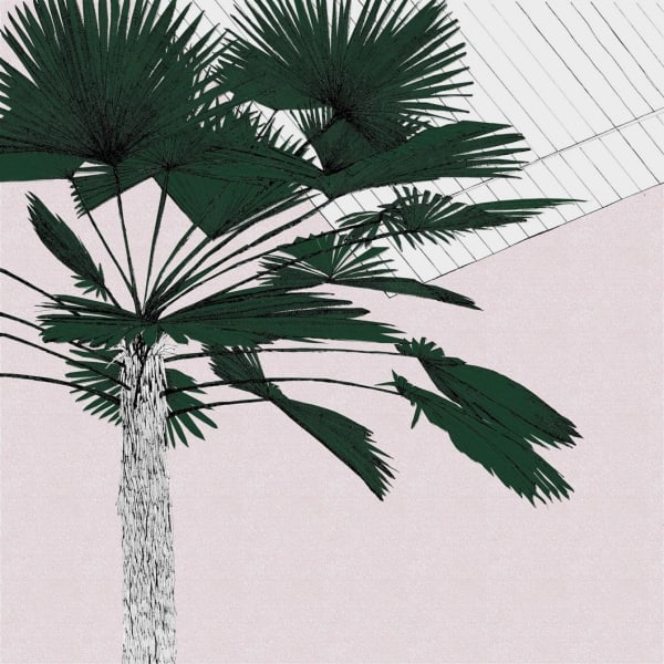 Clare Halifax, A Green Palm Blush