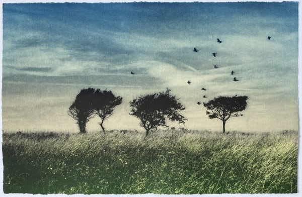 Luella Martin, Five Trees