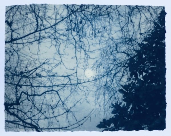 Luella Martin, Moon in Tree