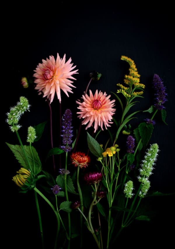 Dianna Jazwinski, Dahlias and Friends Still Life