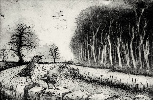 Tim Southall, Mistle Thrush Song