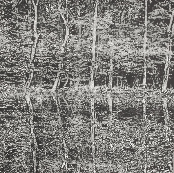 Trevor Price, Reflections III