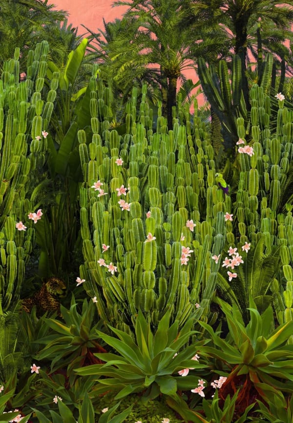 Nadia Attura, Cactus Song