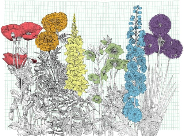 Clare Halifax, Pride in Bloom