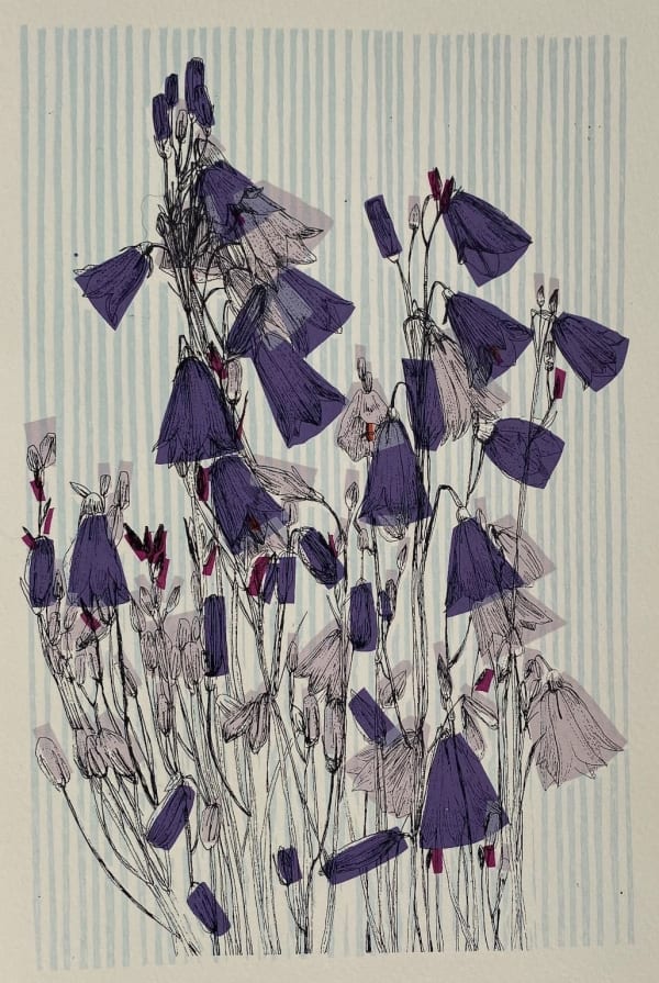 Clare Halifax, Swedish Harebell