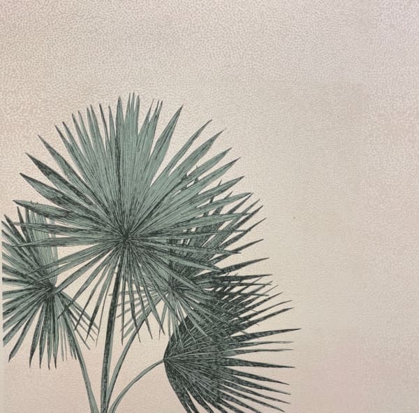 Clare Halifax, Palm Fanning