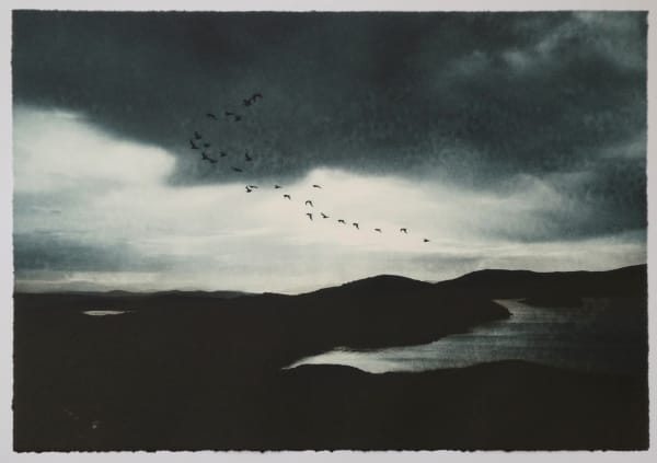 Luella Martin, The Curlews Cry