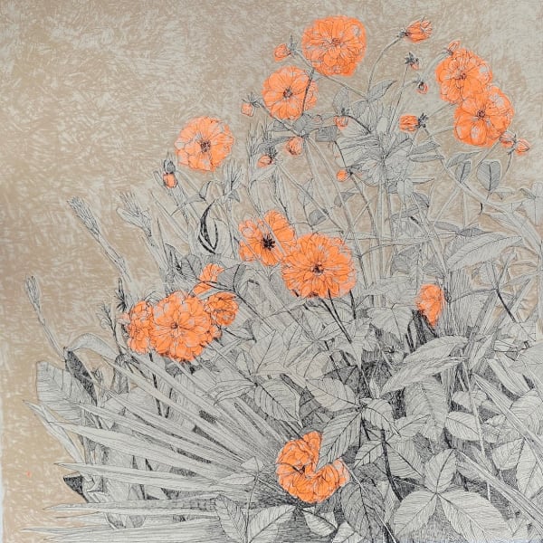 Clare Halifax, In Bloom