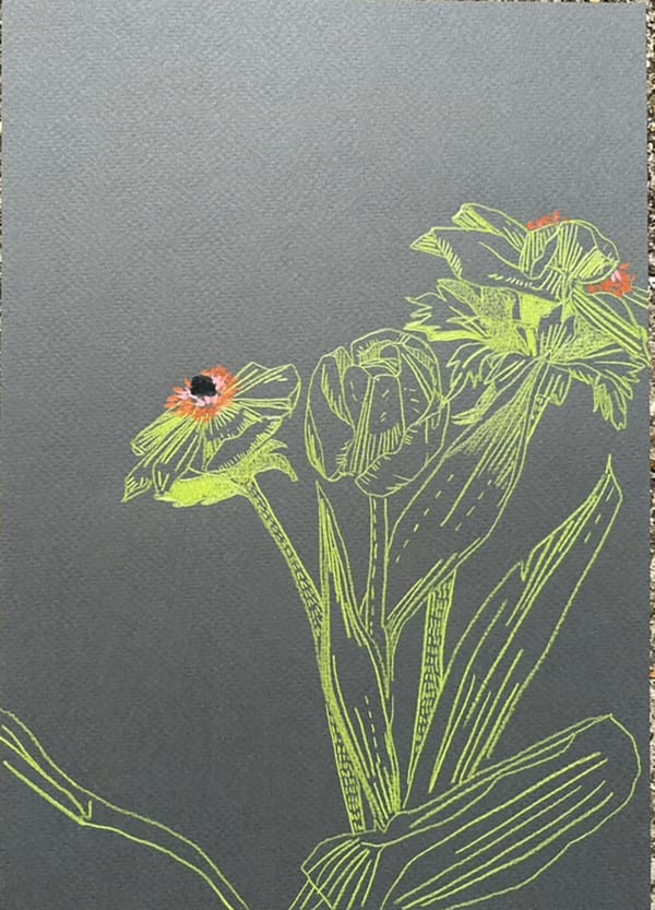 Drawings - Clare Halifax, Spring Bouquet xiii