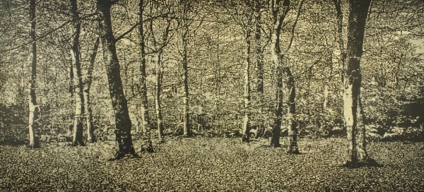 Trevor Price, The Beech Wood