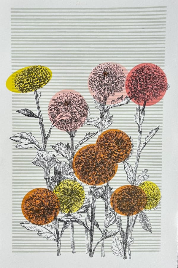 Clare Halifax, Japanese Chrysanthemum