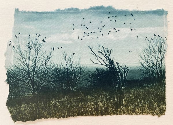 Luella Martin, Roosting