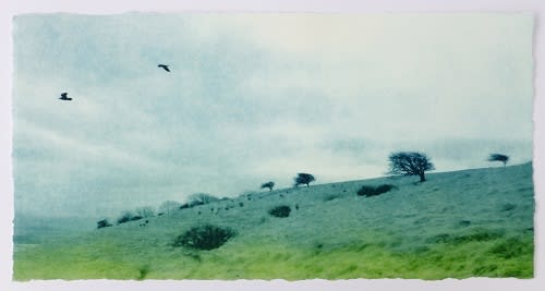 Luella Martin, The South Downs Way