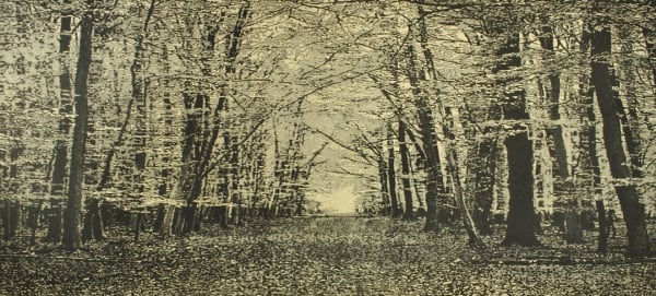 Trevor Price, The Beech wood II