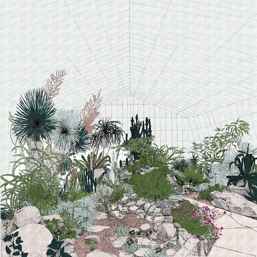 Clare Halifax, Hot Mass of Cacti