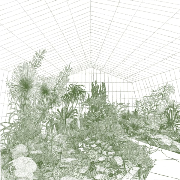 Clare Halifax, Greenhouse Cacti