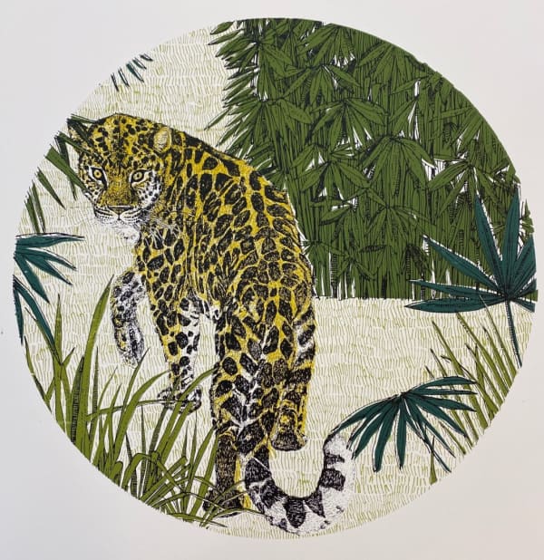 Clare Halifax, Looking Back Leopard