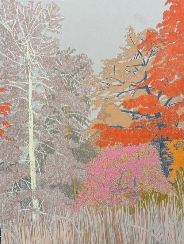 Drawings - Clare Halifax, Holland Park Study iv