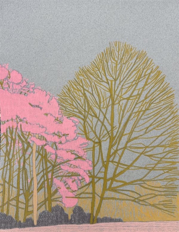 Drawings - Clare Halifax, Hampstead Heath Observation VI