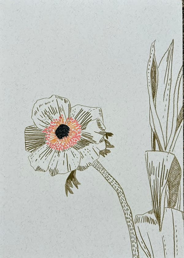 Drawings - Clare Halifax, Spring Bouquet i