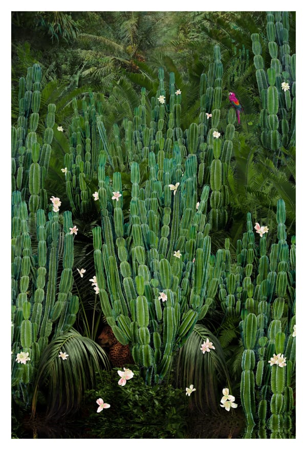 Nadia Attura, Cactus Forest
