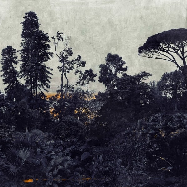 Nadia Attura, Kew