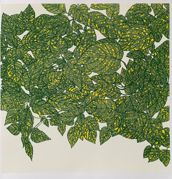 Clare Halifax, Hello Yellow (and Green)