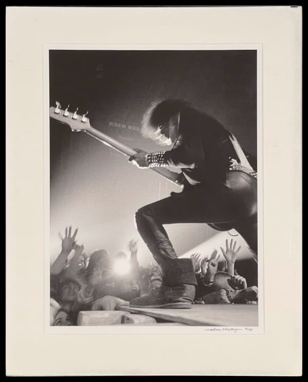 Denis O'Regan, THIN LIZZY / PHIL LYNOTT