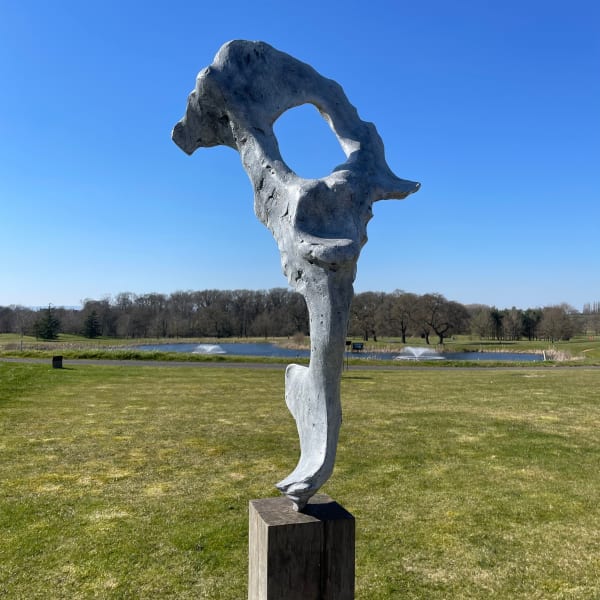 Nicola Godden, Bone Form VI