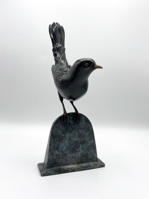 Pat Bull, A MORNING VISITOR (BLACKBIRD)