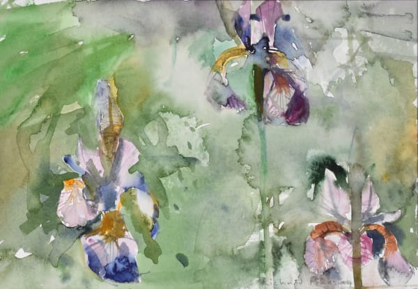Richard Pikesley, June Irises