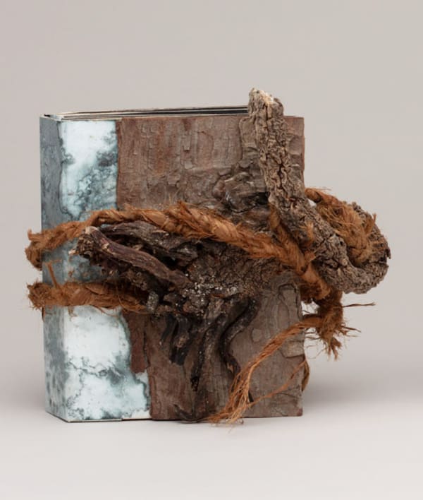 Geraldine van Heemstra, Concertina I