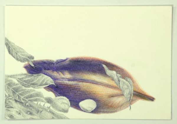 Angela Ferrari Only if they ask me, 2024 Graphite and colored pencil on paper 5 1/2 x 7 7/8 inches 14 x 20 cm