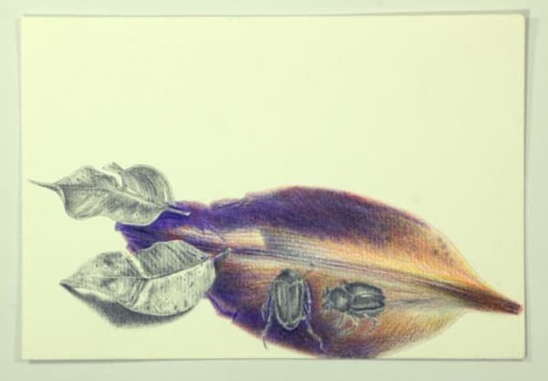 Angela Ferrari Ni vivos ni muertos, 2024 Graphite and colored pencil on paper 5 1/2 x 7 7/8 inches 14 x 20 cm