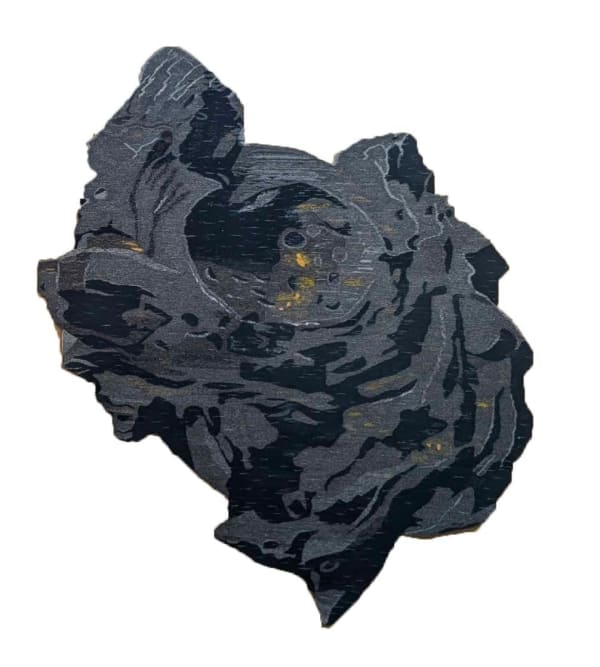 Leopoldo Goût, Meteorito, 2025