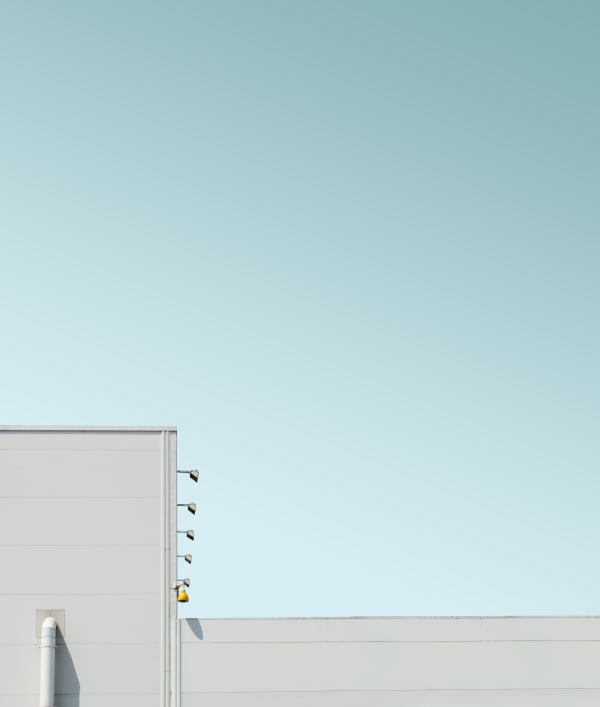 Luisa Schultz, Untitled, 2018