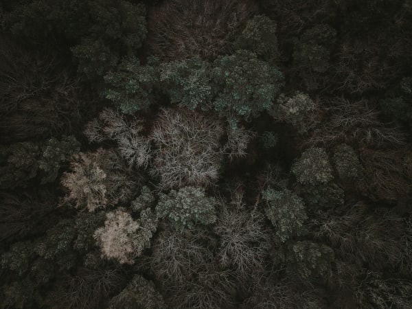 Katrina Forrest, Untitled, 2013