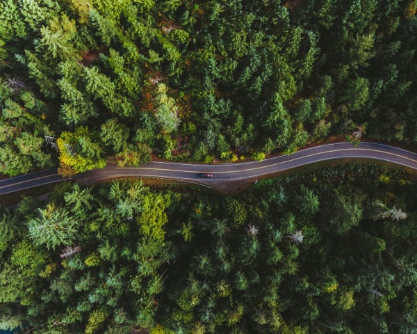 Jeremy Beck, Untitled, 2018