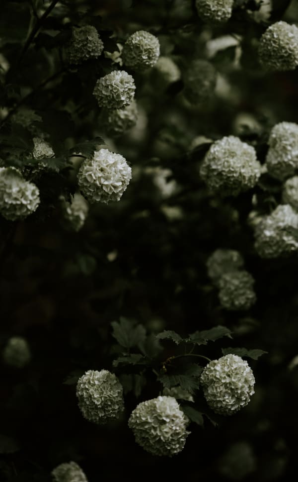 Katrina Forrest, Untitled, 2013