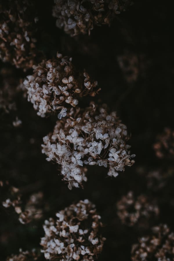 Katrina Forrest, Untitled, 2013