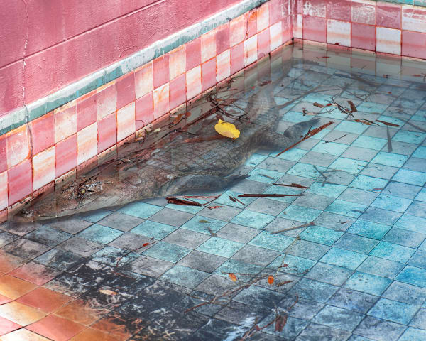 Pink Pool, Palmdale (from the Floridas series)