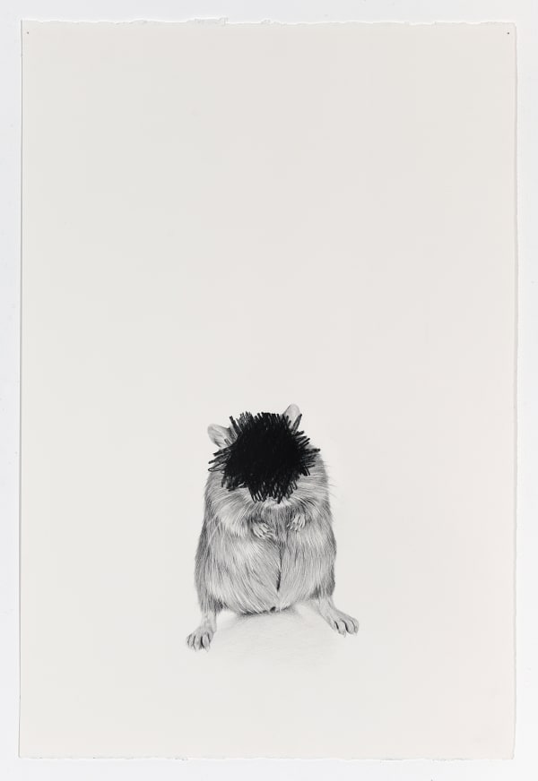Karl Haendel, Obfuscated Mouse 4, 2025