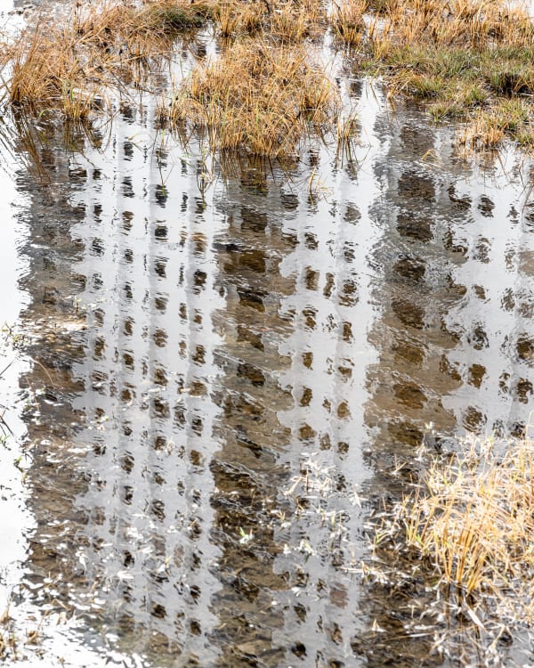Condo Reflection at King Tide, Hollywood (from the Floridas series)