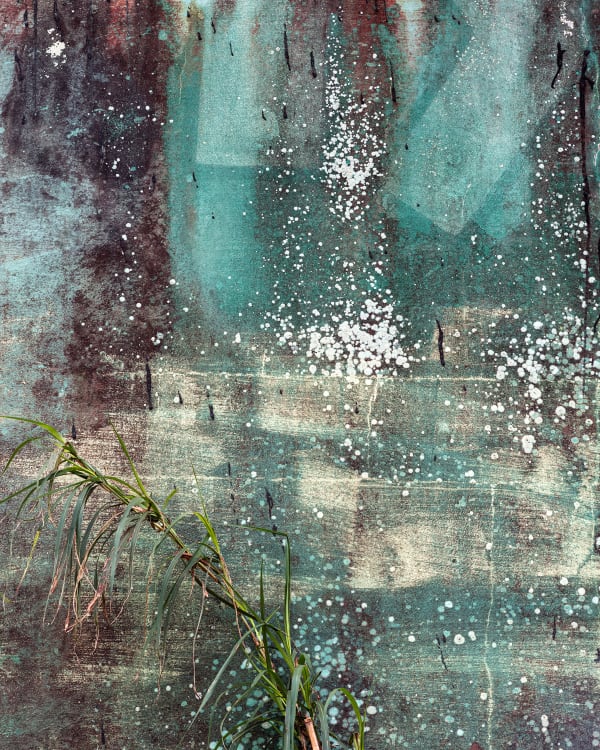 Efflorescence (from the Floridas series)