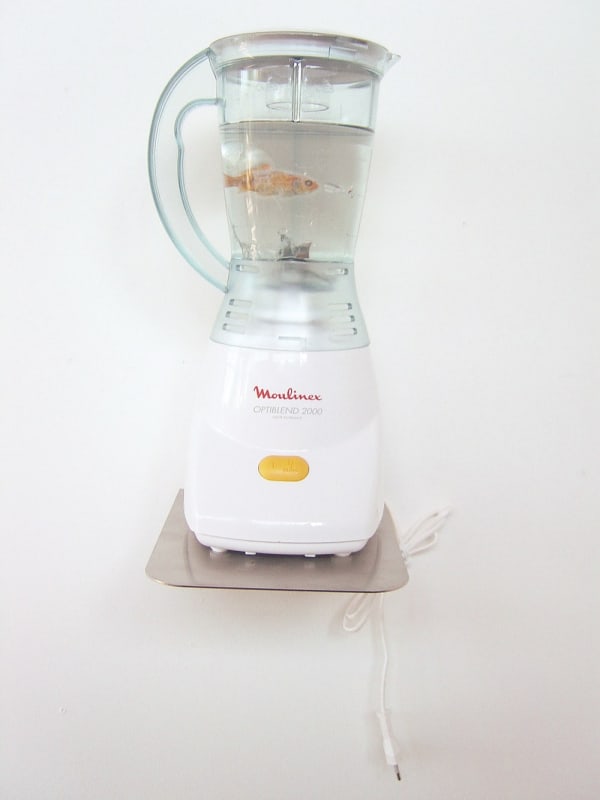 Marco Evaristti - Helena & El Pescador